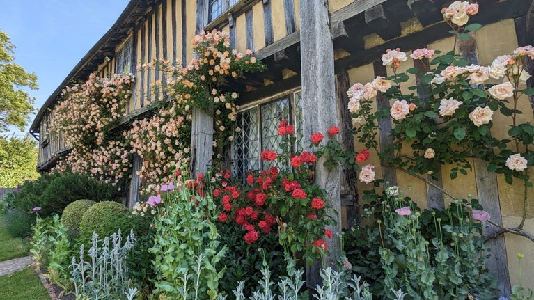 Roses crawl up the walls of Smallhythe Place